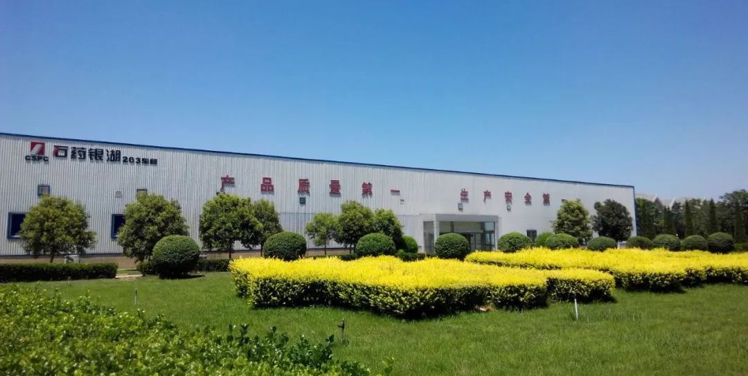 ������88��(�й���½)�ͻ���