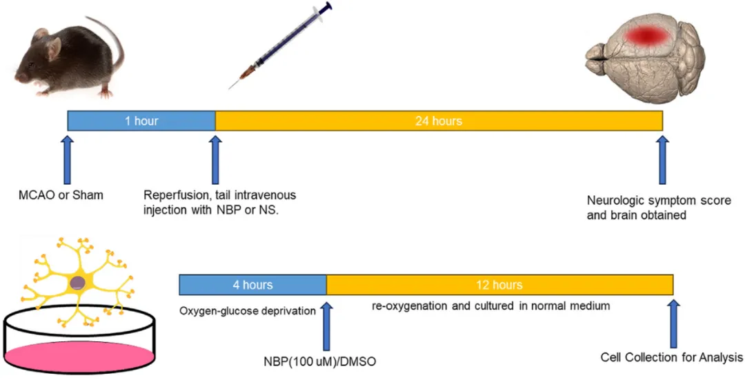 ������88��(�й���½)�ͻ���