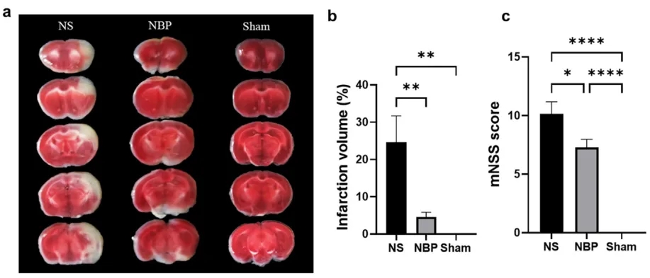 ������88��(�й���½)�ͻ���