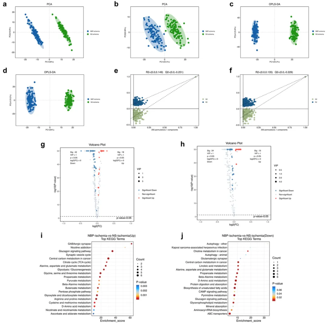������88��(�й���½)�ͻ���