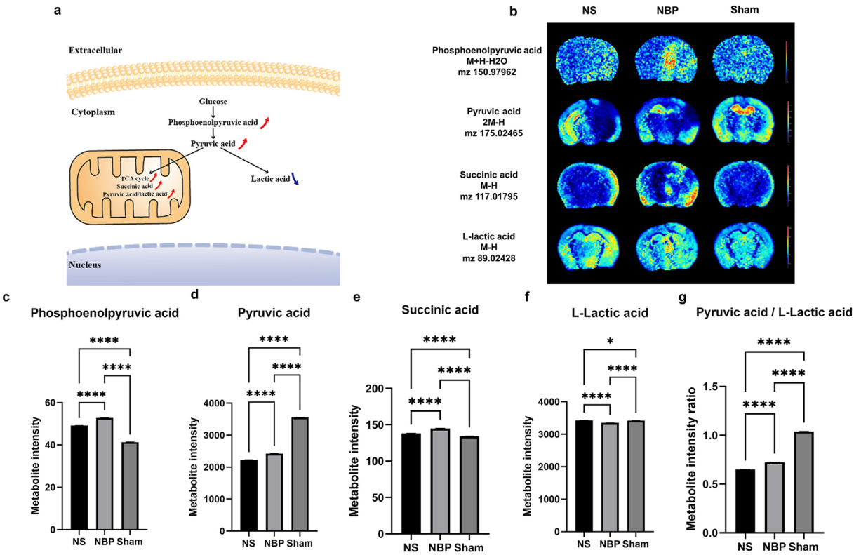 ������88��(�й���½)�ͻ���