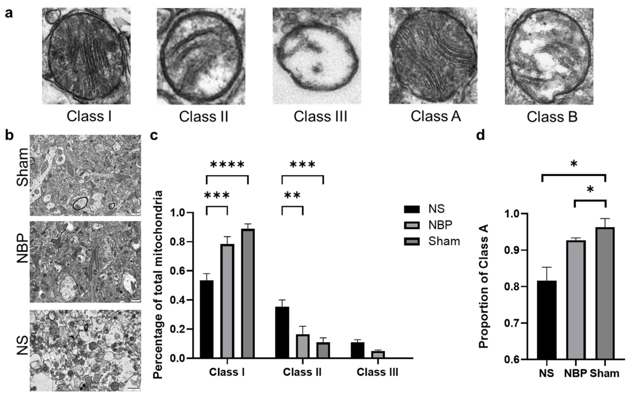 ������88��(�й���½)�ͻ���