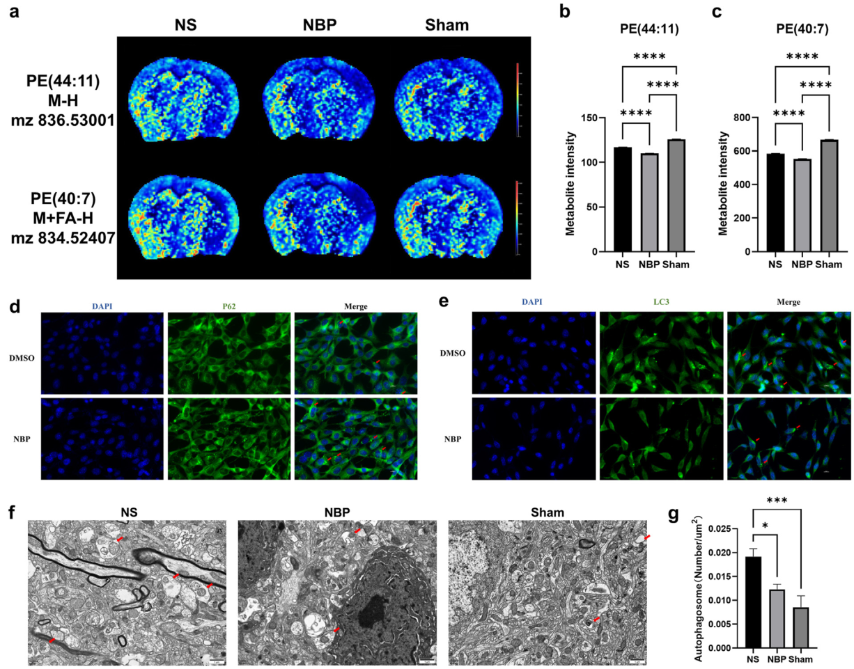 ������88��(�й���½)�ͻ���