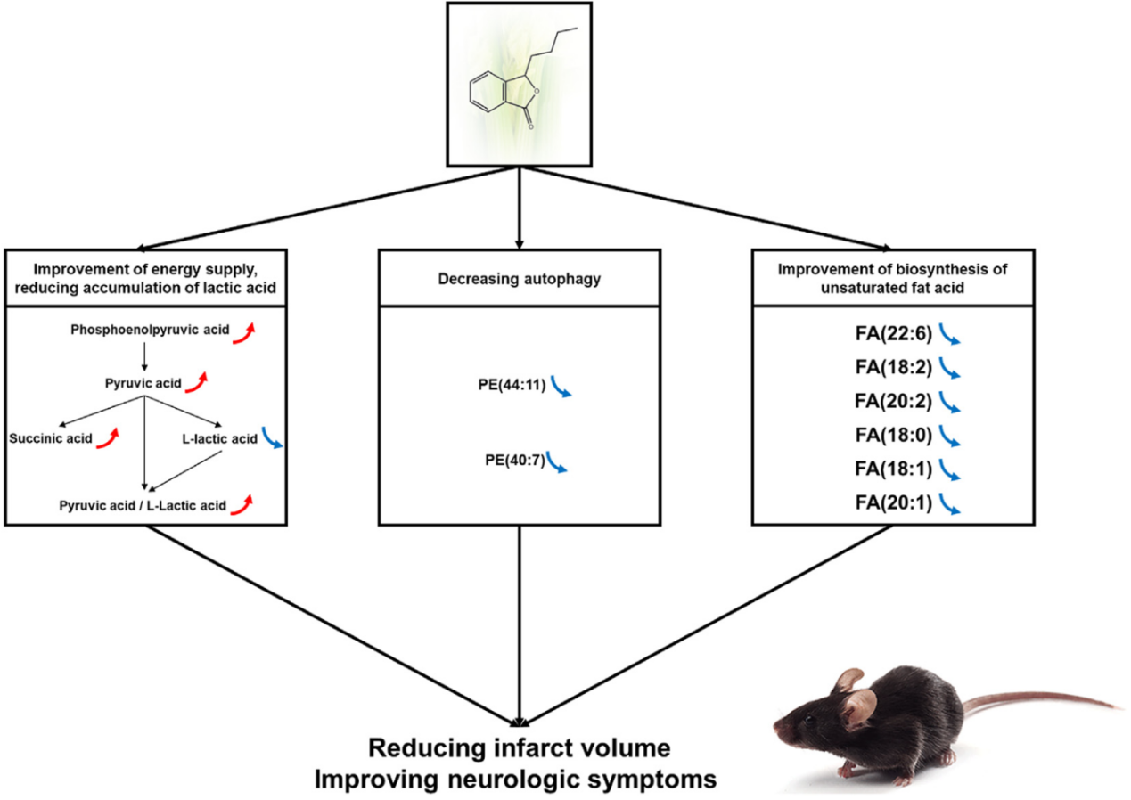 ������88��(�й���½)�ͻ���