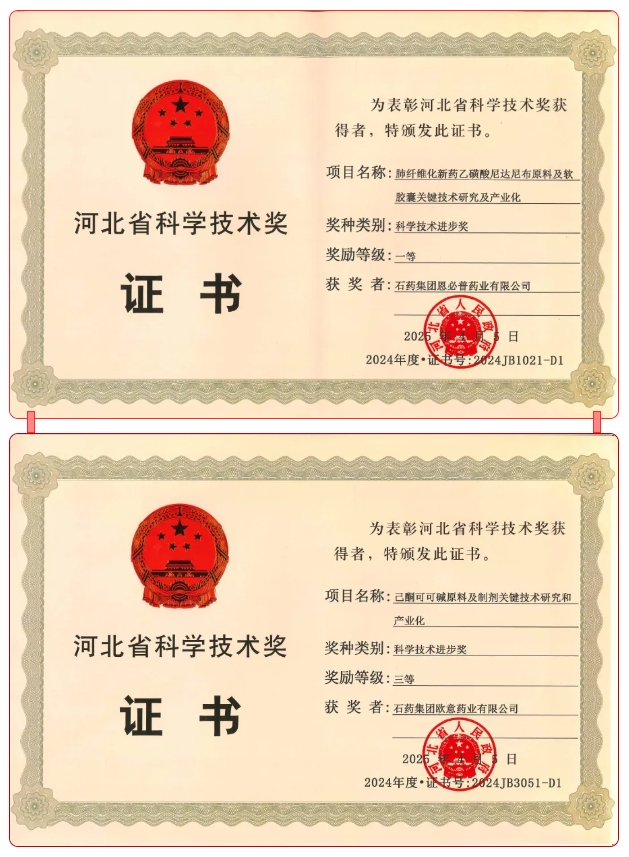 ������88��(�й���½)�ͻ���