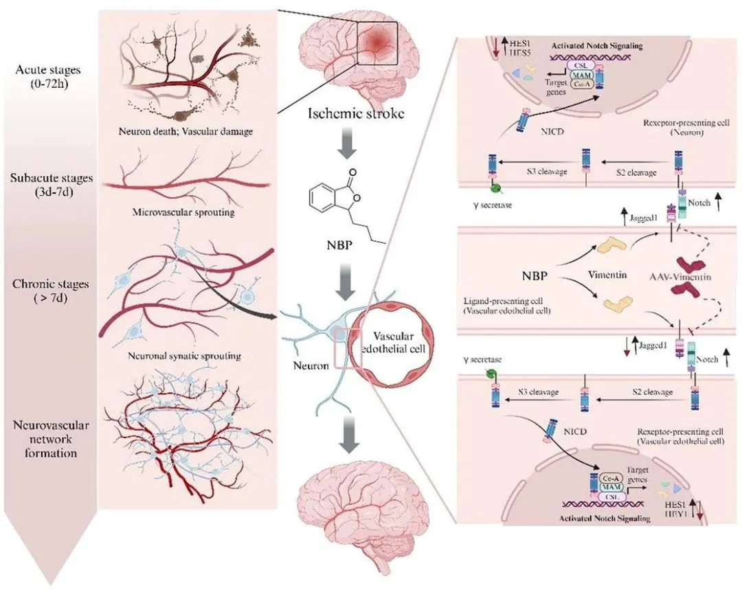 ������88��(�й���½)�ͻ���