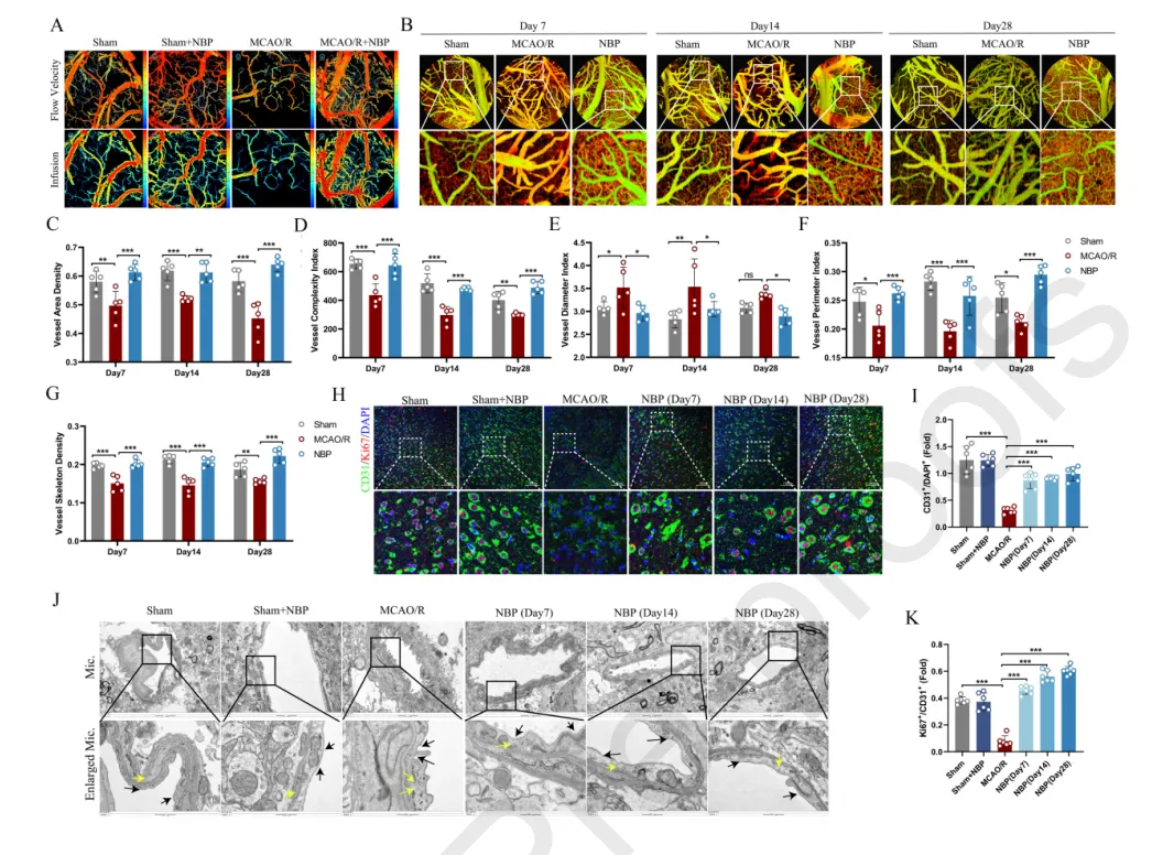 ������88��(�й���½)�ͻ���
