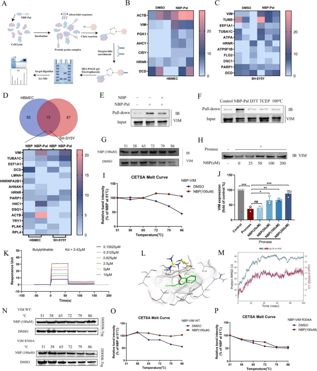 ������88��(�й���½)�ͻ���