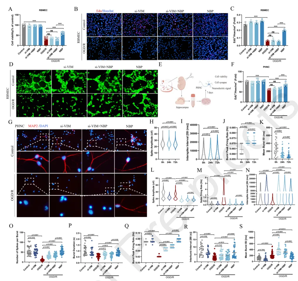 ������88��(�й���½)�ͻ���
