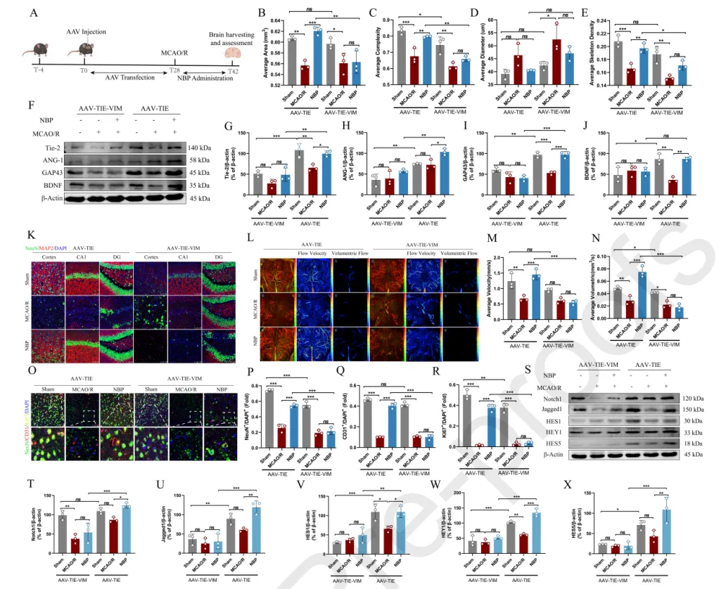 ������88��(�й���½)�ͻ���