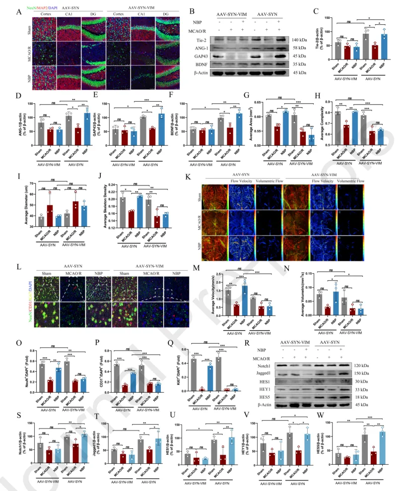 ������88��(�й���½)�ͻ���