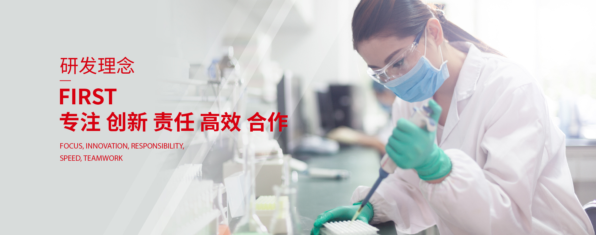 ������88��(�й���½)�ͻ���